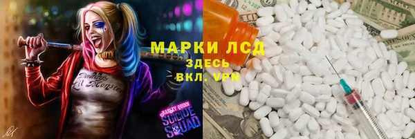 дмт Бородино