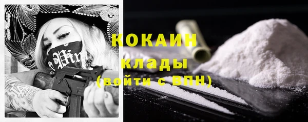 крисы Верея