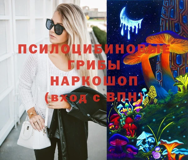 дмт Бородино