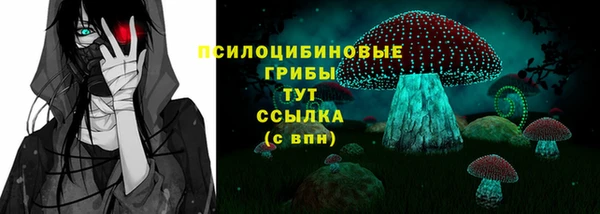дмт Бородино