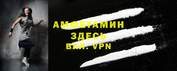 дмт Бородино