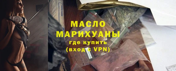 дмт Бородино