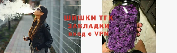 дмт Бородино