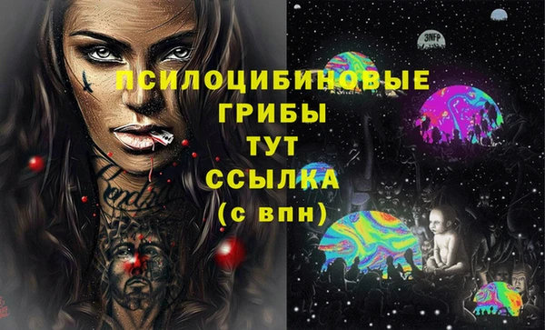 крисы Верея
