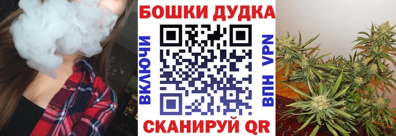 Каннабис планчик  купить закладку  Гай 
